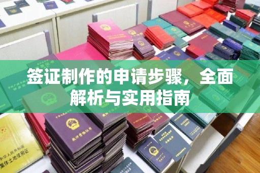 申扎签证制作的申请步骤，全面解析与实用指南