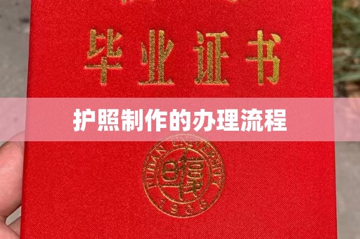 申扎护照制作的办理流程
