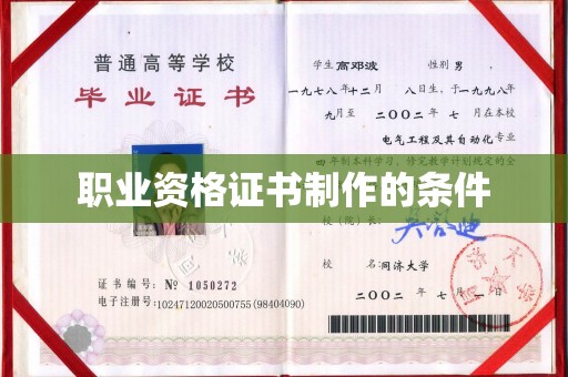 申扎职业资格证书制作的条件