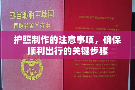 申扎护照制作的注意事项，确保顺利出行的关键步骤